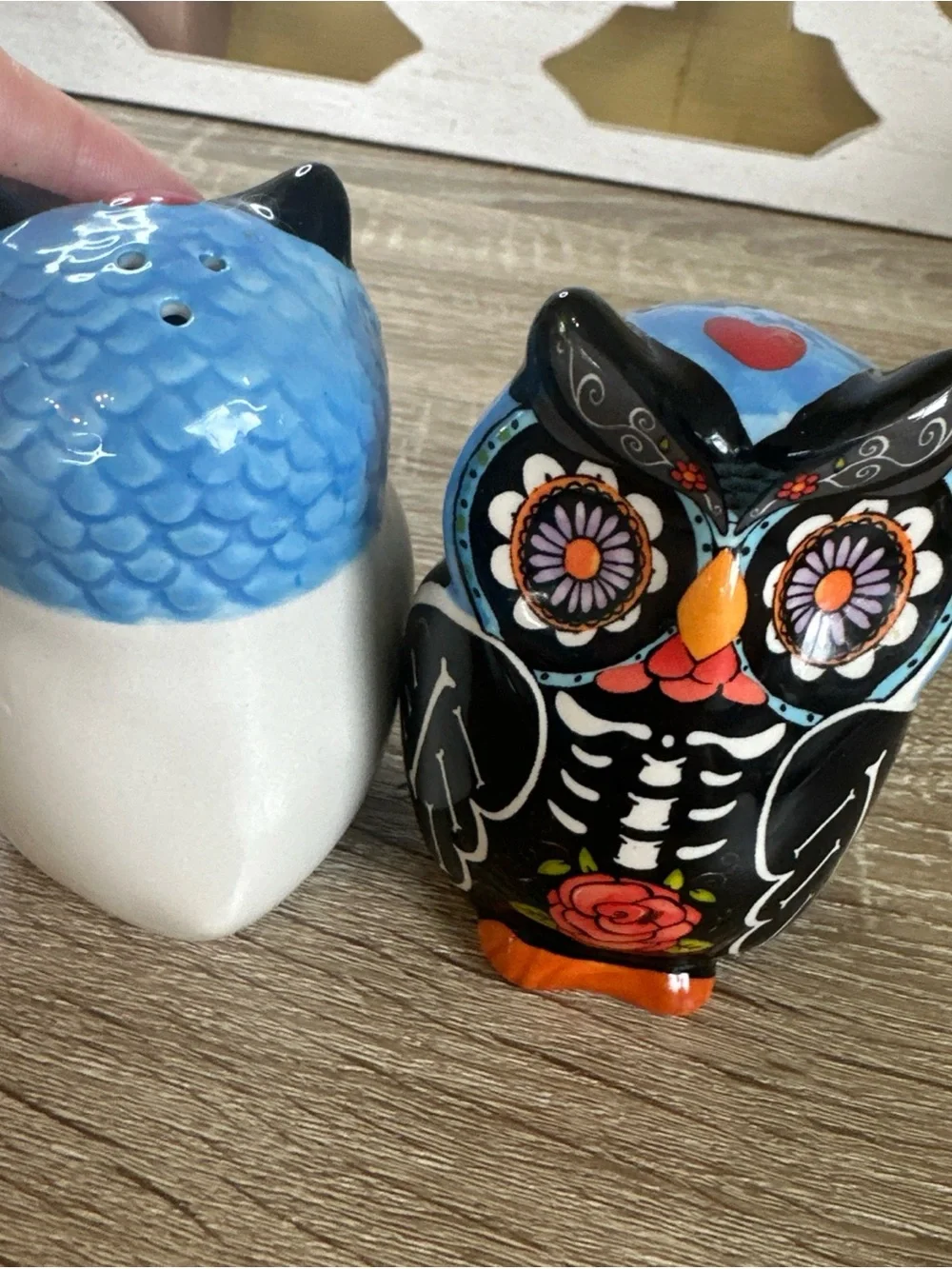 Source Unknown Day of the Dead Owl Salt and Pepper Shakers - Blue, Black, Orange